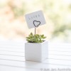 White 5cm planter with card holder (various designs)